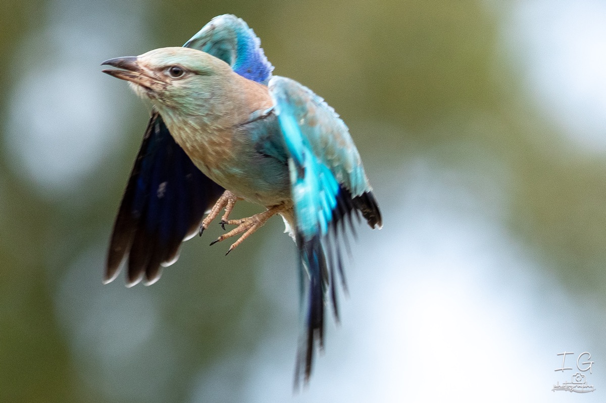 AK6I1697 31 oktober 2021 1531 42